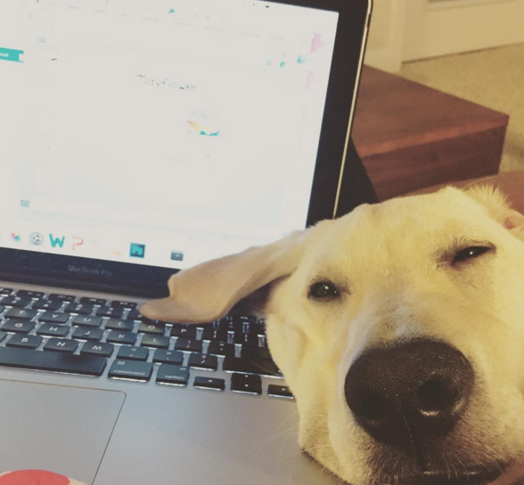 Screen Shot 2015-12-13 at 8.53.54 PM.png