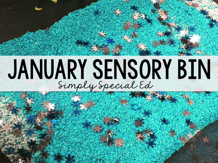 January Sensory Bin Simply Special Ed