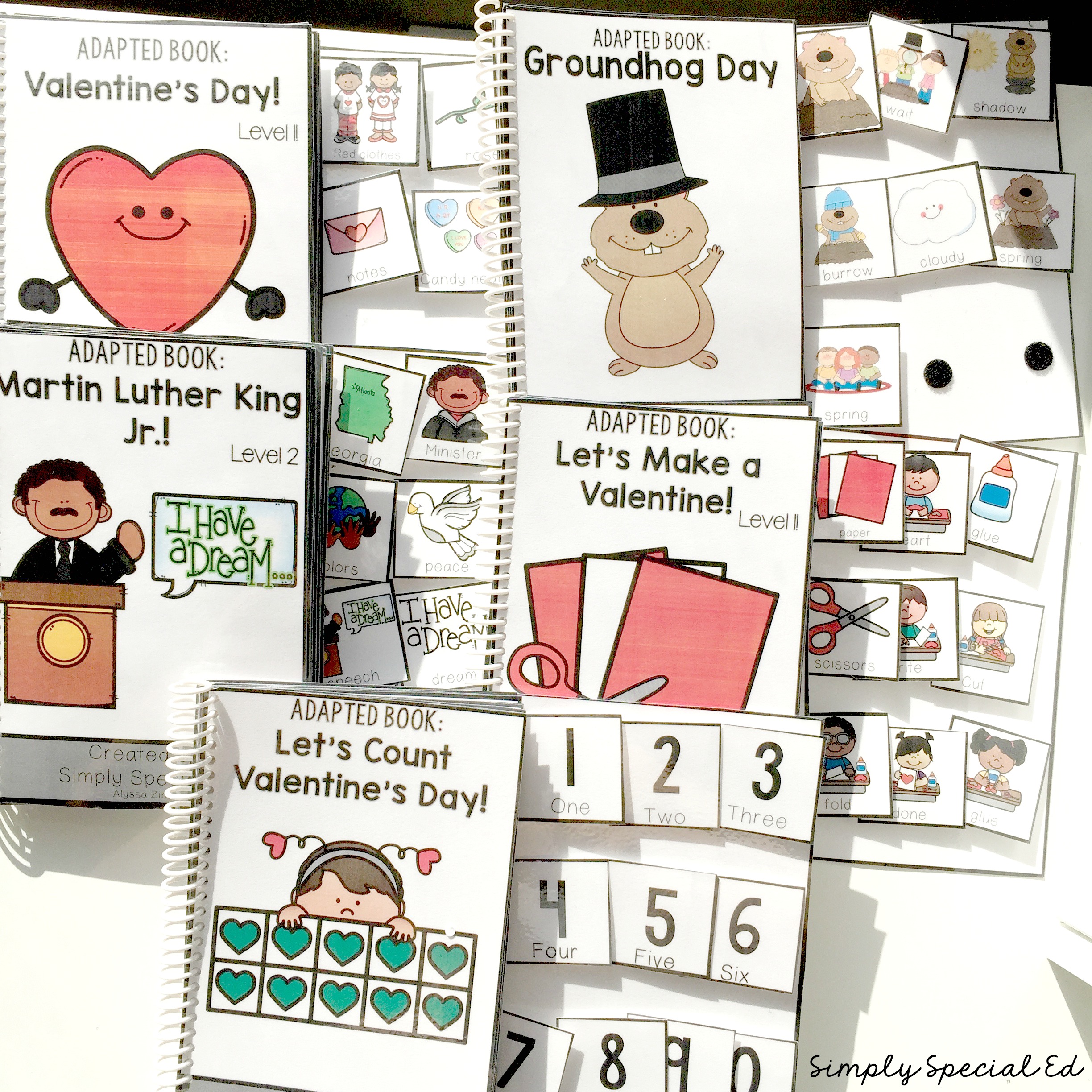 February Adapted Books
