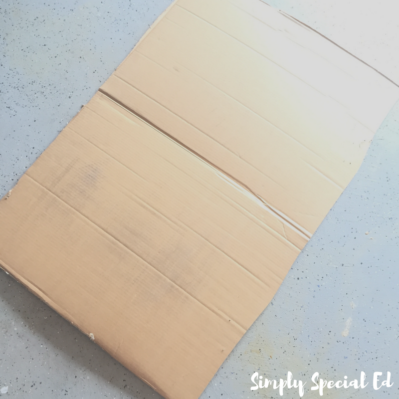 Simply Special Ed (25).png