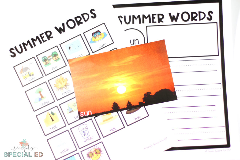 Summer words end of year lesson! for special education