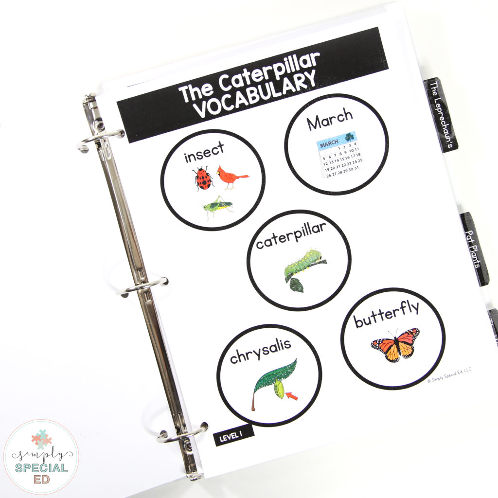 Vocabulary for special education students