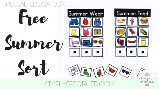 Build your task box library with this free summer sorting activity. Use in your special education or life skills classroom.