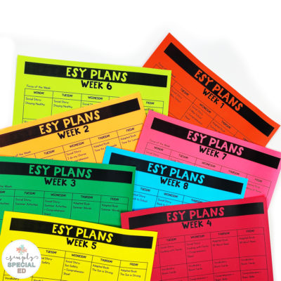 Make ESY Easy – Enjoy Your Summer While I Take Care of the Plans! 🌞