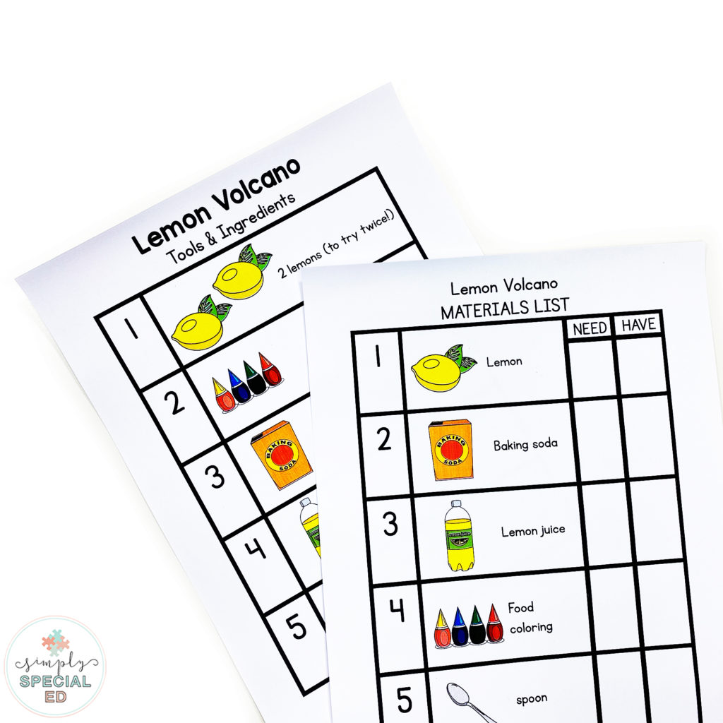 Take a peek at my Extended School Year (ESY) Lesson Plans and materials! Planning ESY can be easy with ready to go summer lesson plans!