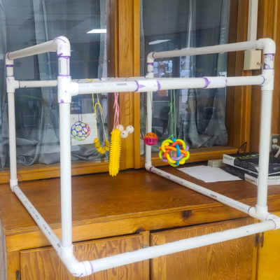 Multiple Disabilities Classroom Setup