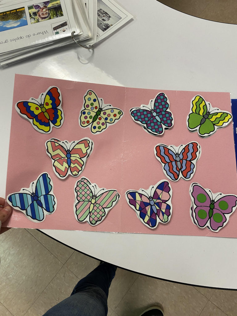 File folders are a great way to build momentum for all students, no matter the level. Simply adjust the level of file folder for the needs of the student, give them a choice in activities, and build up from there!