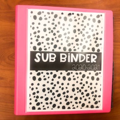 Planning for a Substitute in a Self Contained Classroom