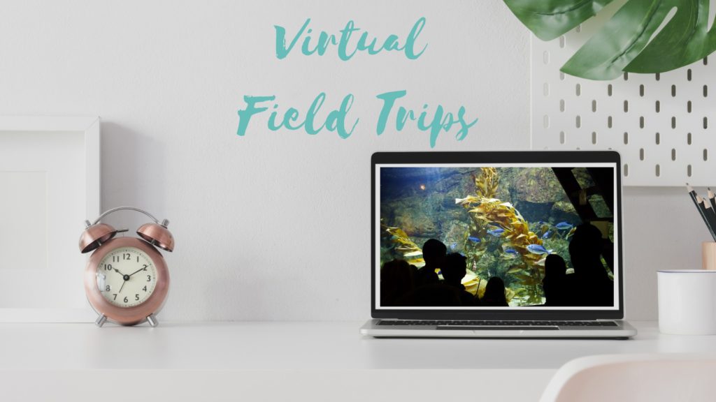 Picture showing virtual field trip to an aquarium