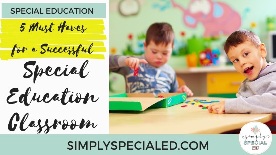 This is a photo of two students in a successful special education classroom.