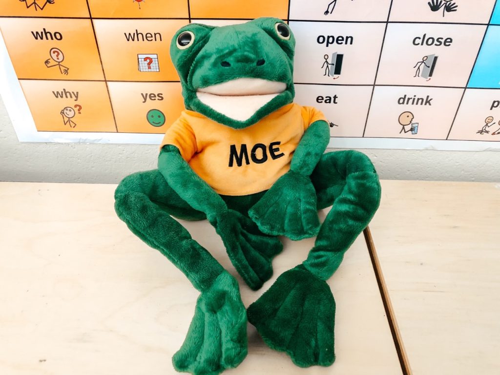 the ELSB program is about the character Moe. This puppet is provided in the box set.