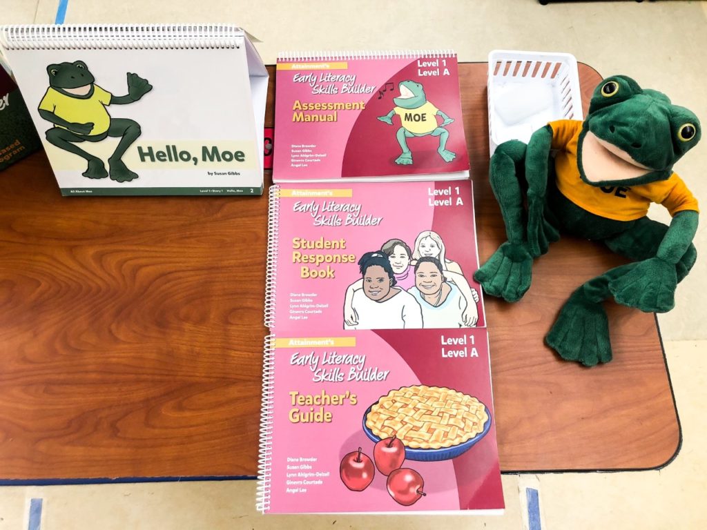 the print version of the ELSB program including assessment manual, student response books, teacher's guide, and easel book.