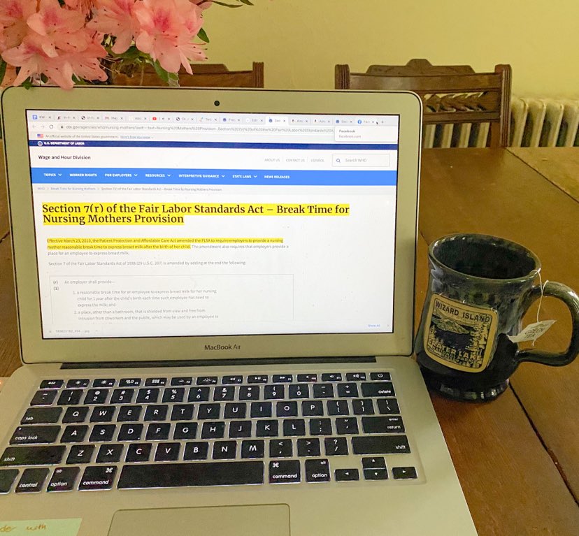 computer with the FLSA on screen with a cup to the right of computer on table 