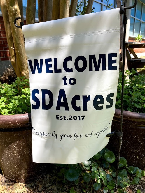 We try to spend a little time everyday in our class garden.