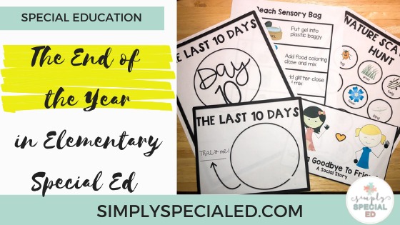 the end of the year in elementary special ed
