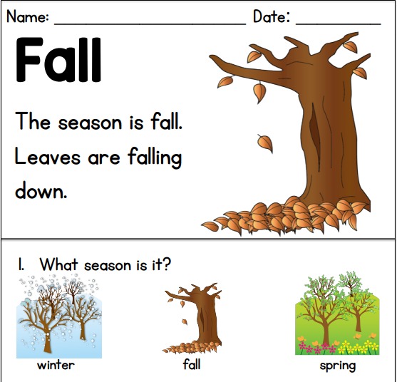 fall picture comprehension