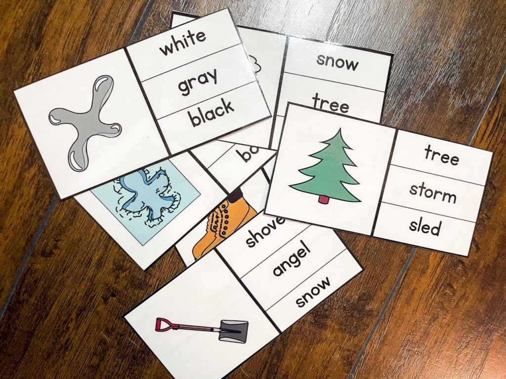 Winter words vocabulary clip cards
