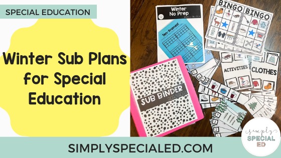 winter sub plans for special education
