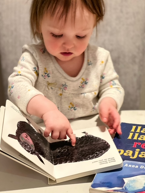 This is an image of a toddler reading a book.