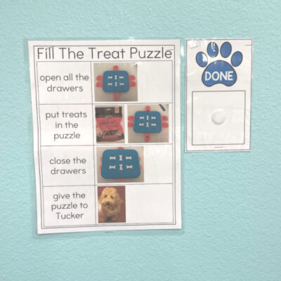 Job Skills at a Dog Daycare