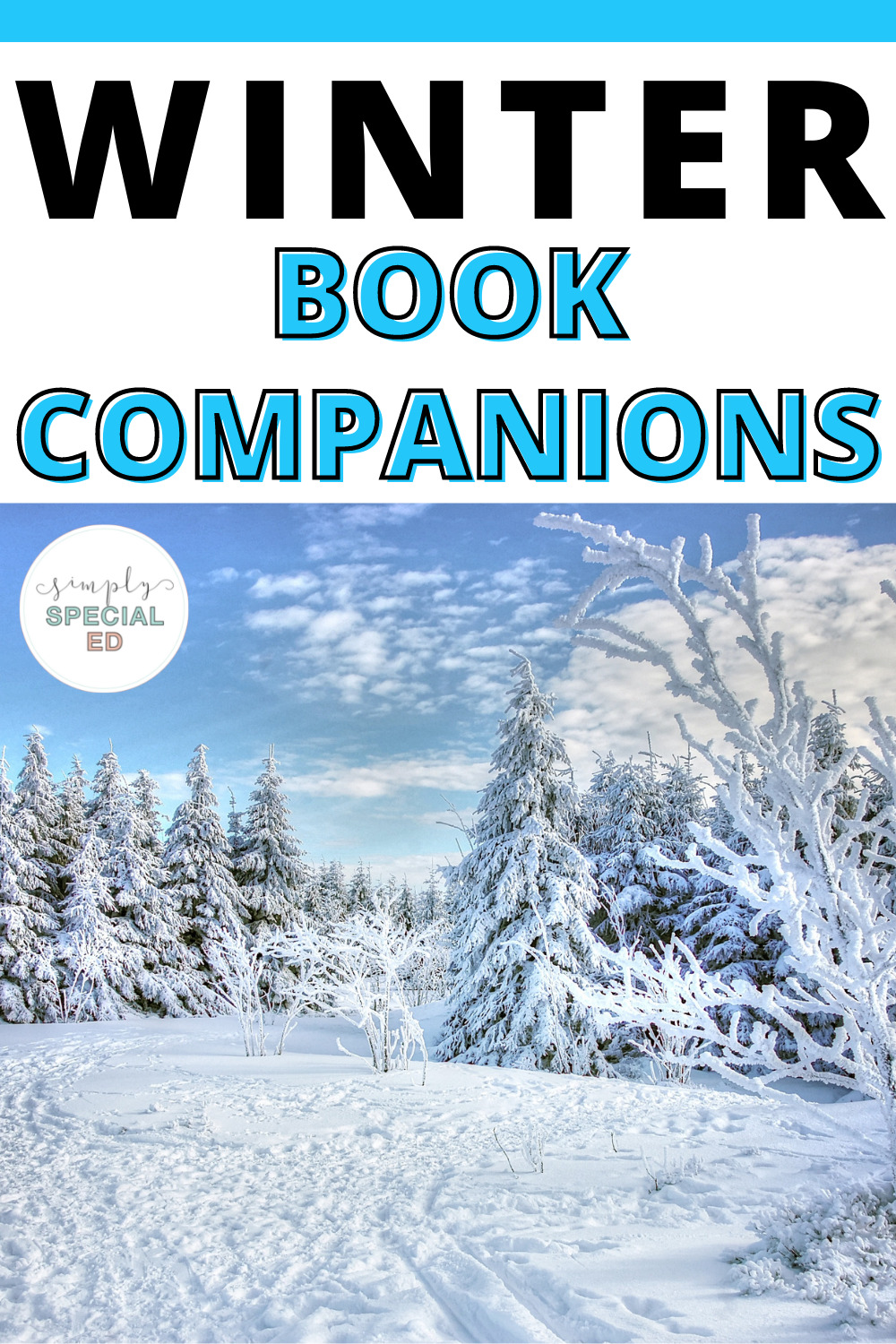 winter book companions