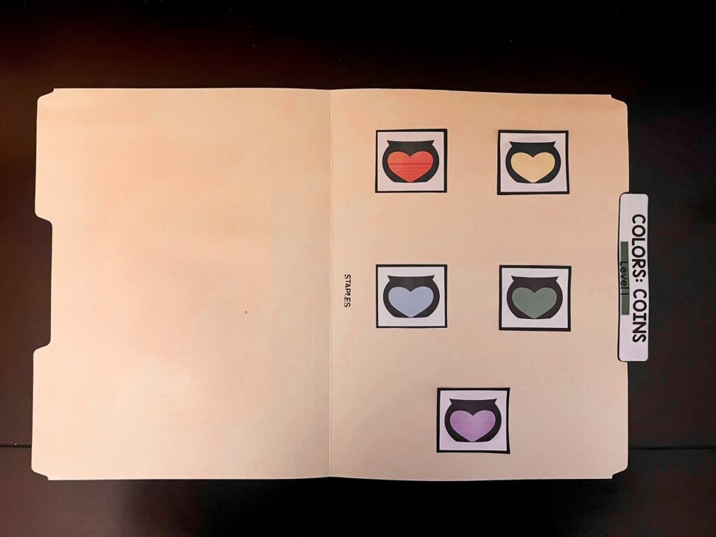 pieces glued into file folder