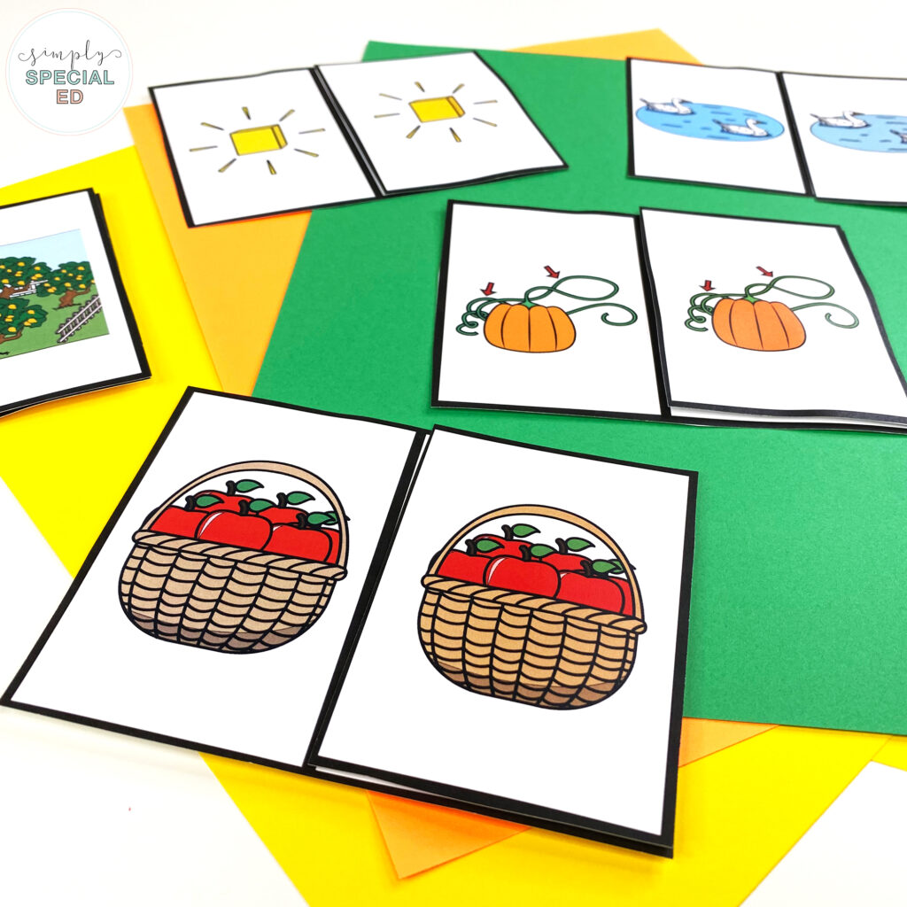 Let’s take a look at some activities included in the Apples and Pumpkins Book Companion that are great to pair with this read aloud. 