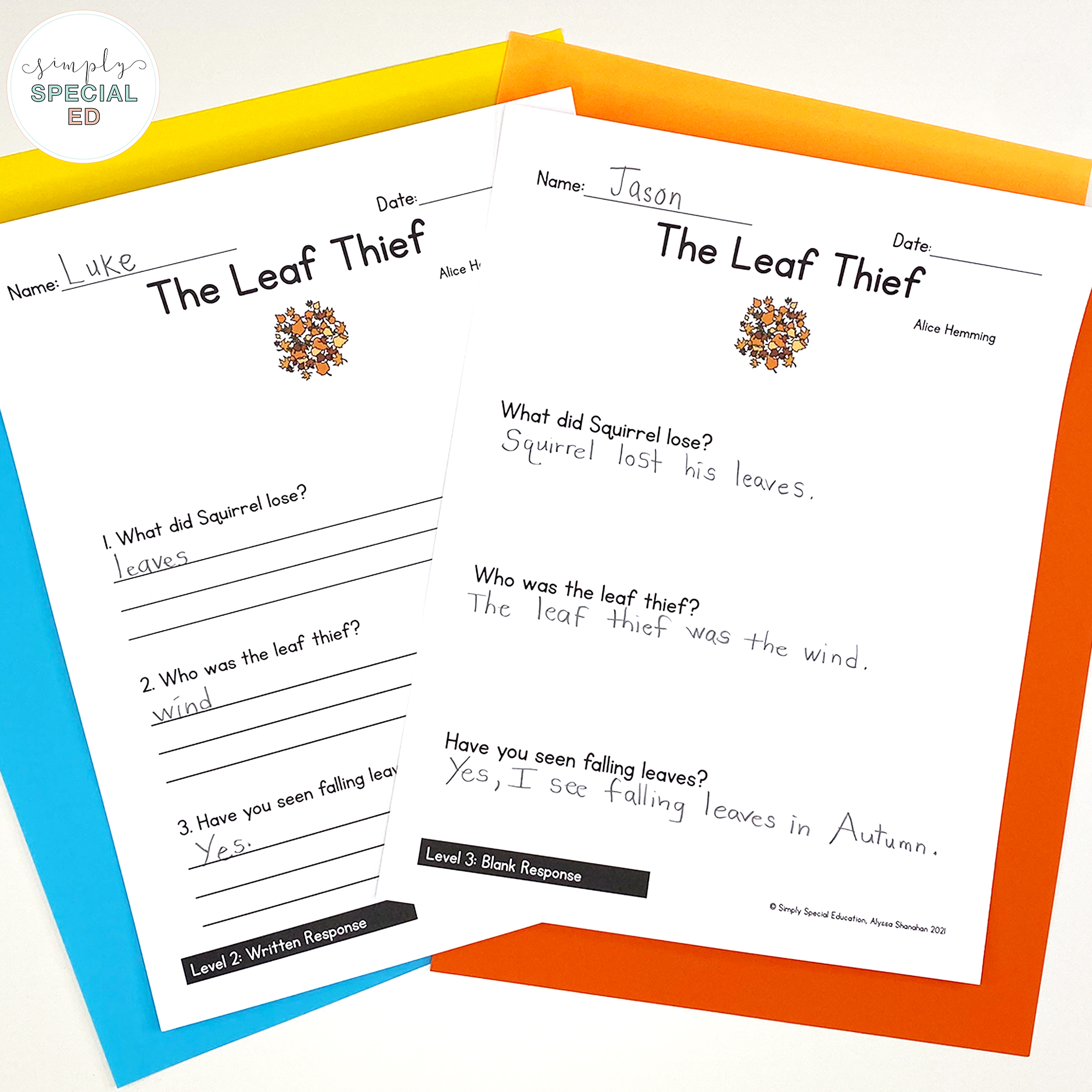 Let’s take a look at some activities included in The Leaf Thief Book Companion that are great to pair with this read aloud. 