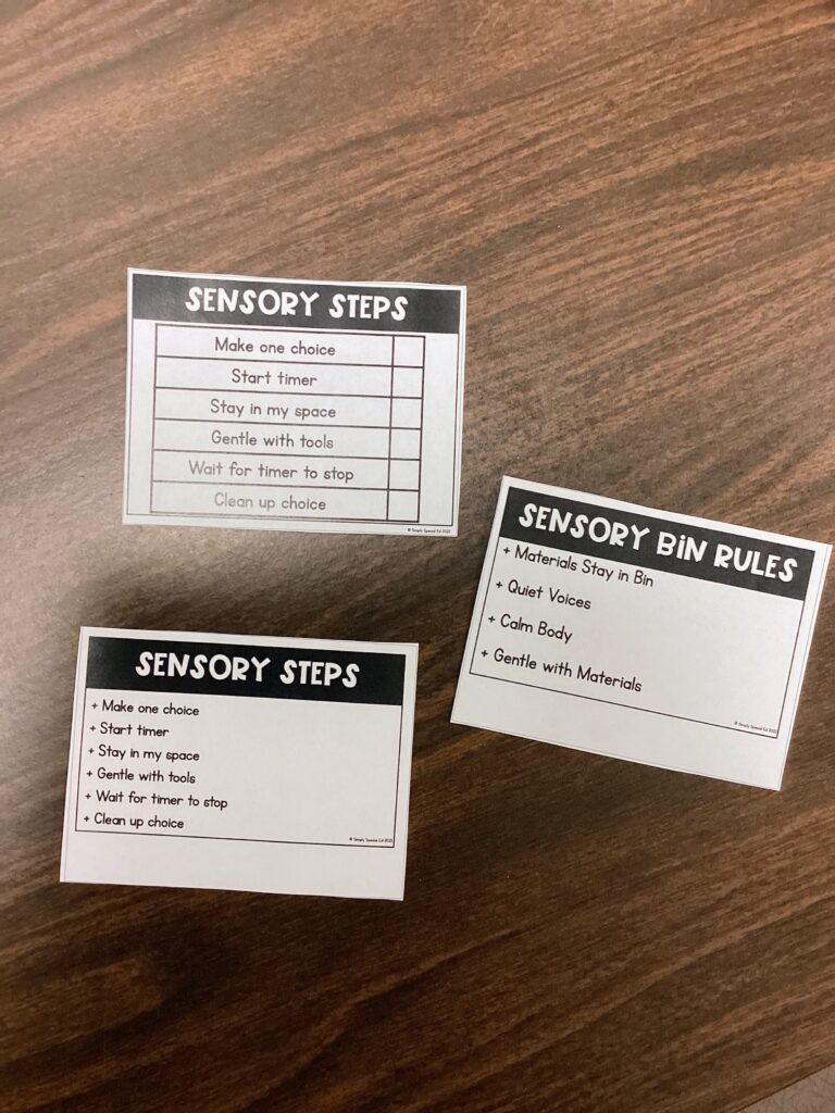 sensory steps, sensory bin rules and sensory steps checklist printed small quarter page