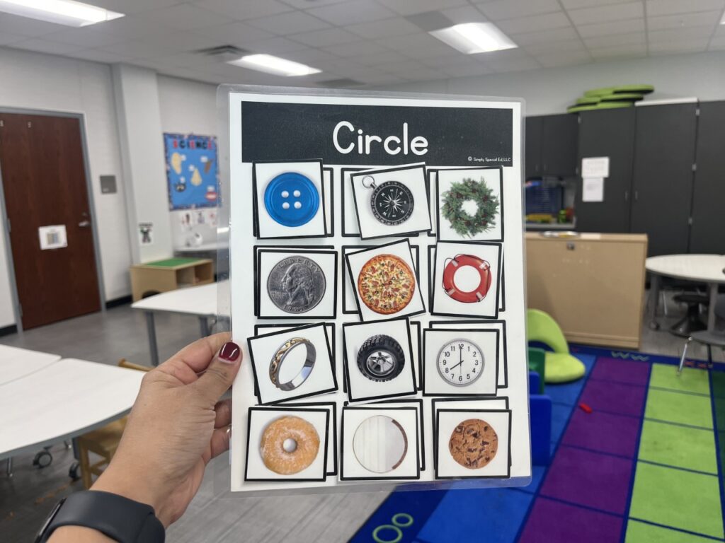Real picture sorting activity example