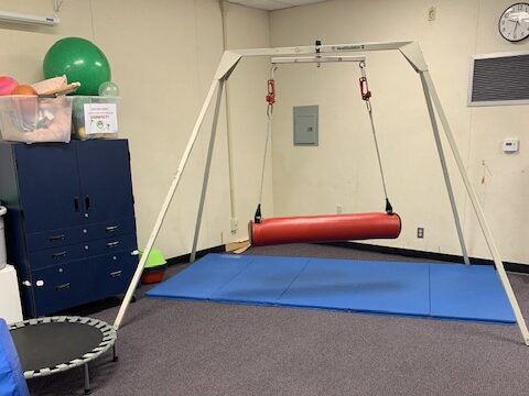 Sensory room swing