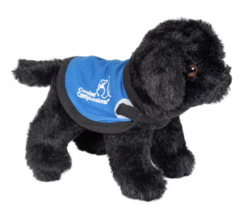 Black plush small service dog with blue vest
