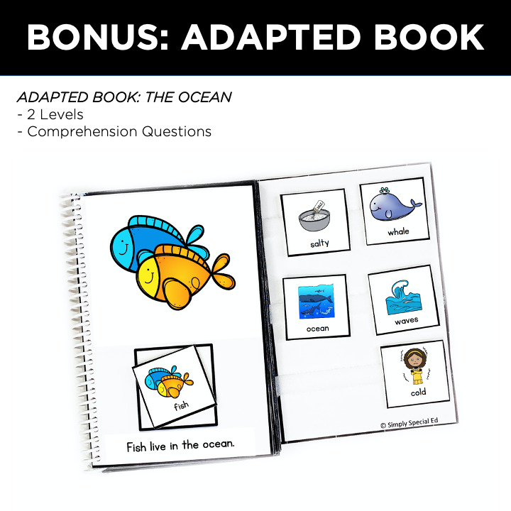  Here is everything you need for the best ocean theme and lesson plans in your ESY special education classroom this summer