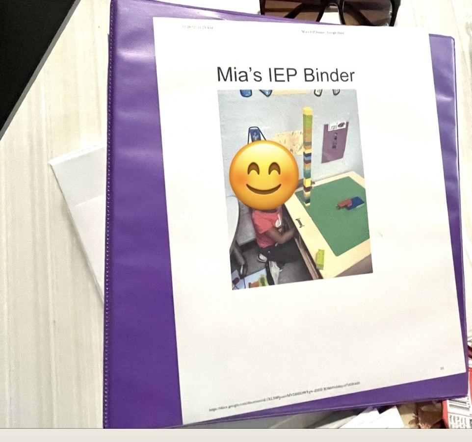 Individual IEP student binder- recommended for small caseloads