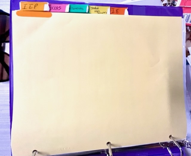 IEP tabs organize and color coded