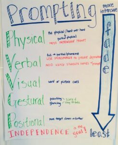 Poster of the five types of prompts: physical, verbal, visual, gestural, positional.