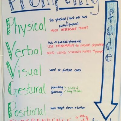 Everything You Need to Know About the Prompt Hierarchy