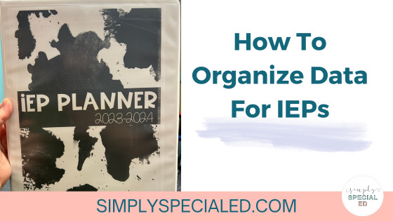 Header for How to organize IEPs