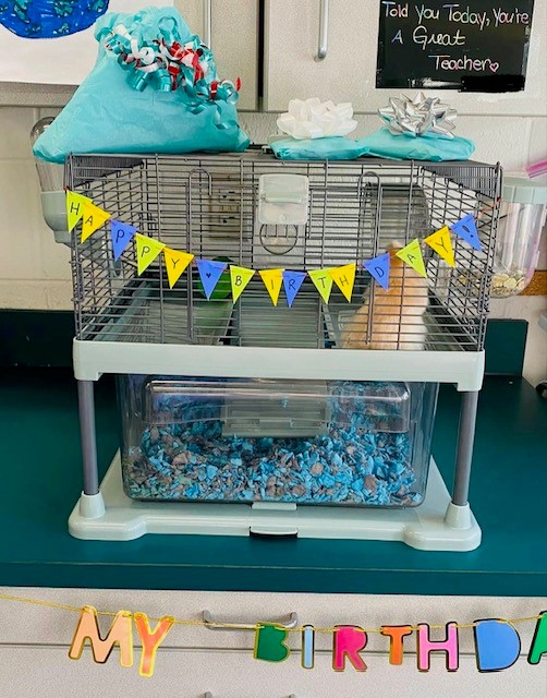 A plastic and metal hamster cage is shown on a green countertop. The cage has a small "happy birthday" banner on it. A tan-colored hamster can be seen inside of the cage.