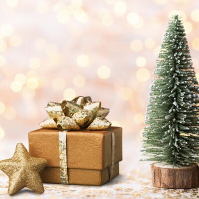 What a Special Education Teacher Wants for Christmas