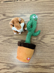 Talking cactus and hamster