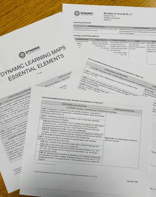 Photograph of the printed out DLM standards.