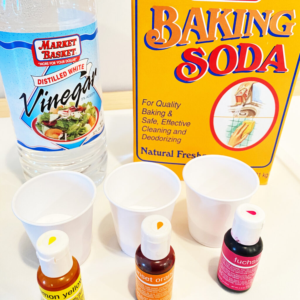 Discover how the Magic Milk Science Experiment engages special education students in hands-on learning and grab our free download!