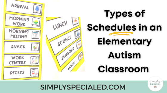 blog header "types of schedules in an elementary autism classroom"