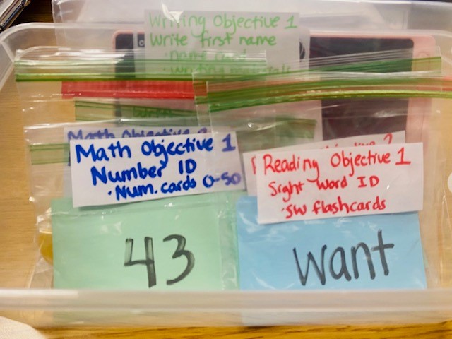 A clear plastic bin is shown on a table. In the bin are plastic bags with index cards inside. The bags are labeled with math and reading objectives.