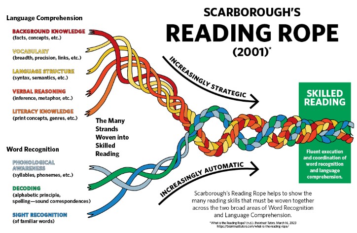 An image depicting "Scarborough's Reading Rope," which explains the elements needed to develop skilled reading.
