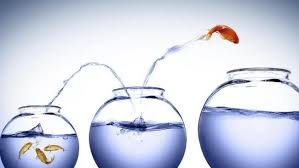 A fish jumping from a small tank to a bigger tank 