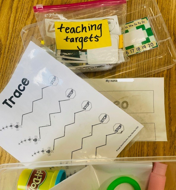 How to set up IEP Goal Bins for special education self-contained classrooms!