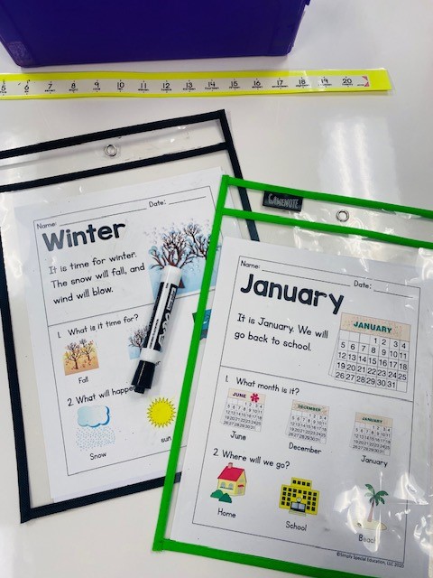 January picture comprehension worksheet