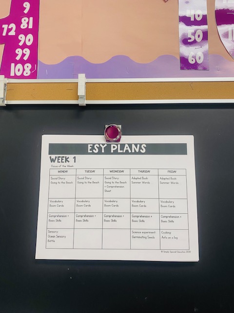 Printed ESY Plans are shown posted on a chalkboard
